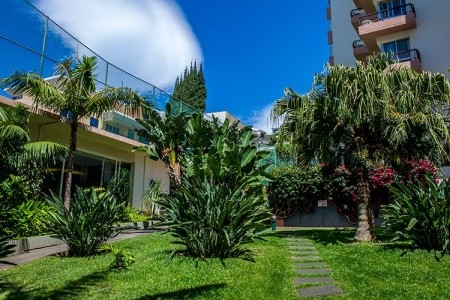 Dorisol Estrelicia - 4