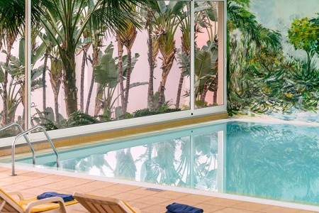 Dorisol Estrelicia - 16