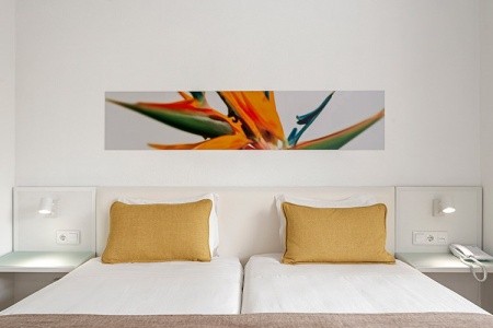 Dorisol Estrelicia - 34