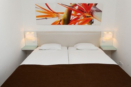 Dorisol Estrelicia - 36