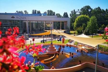 Hunguest Hotel Gyula - 4