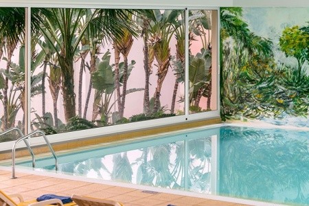 Dorisol Buganvilia - 3