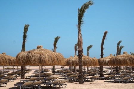 Jaz Elite Asteria (Ex. Jaz Asteria Beach) - 30