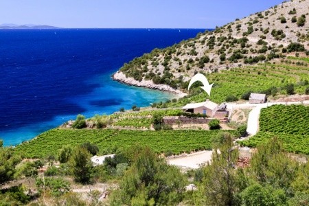 Apartmány Afrodita - 5