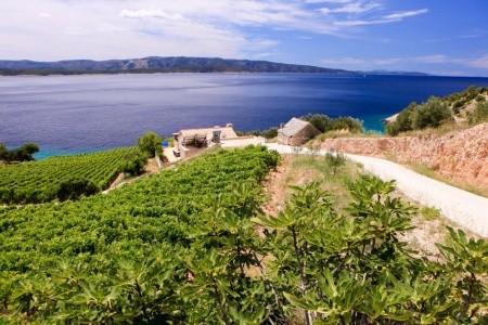 Apartmány Afrodita - 15