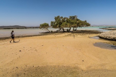 Gorgonia Beach Resort - 82