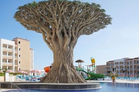 Bahia Principe Fantasia Tenerife - 14