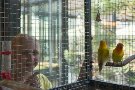 Demänova Resort - 31