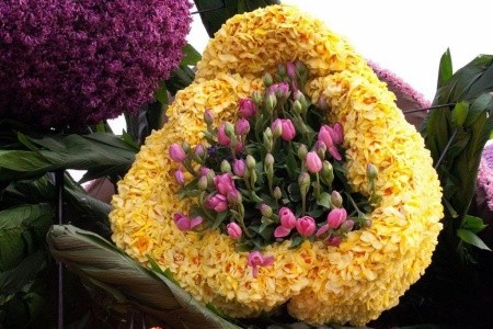 Jarní květinové korzo I - 4