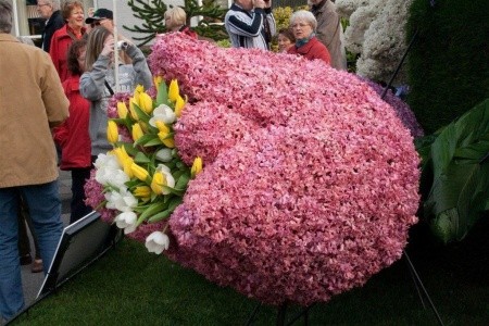 Jarní květinové korzo I - 5