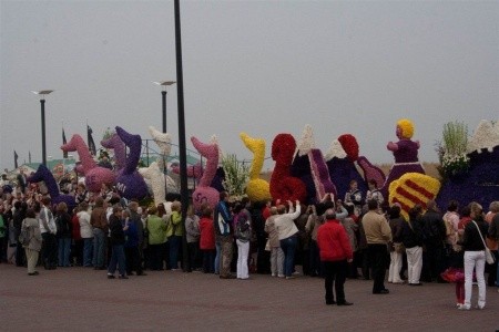 Jarní květinové korzo I - 10