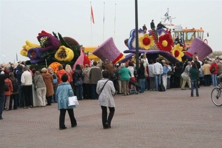 Jarní květinové korzo I - 12