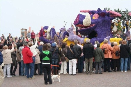 Jarní květinové korzo I - 21