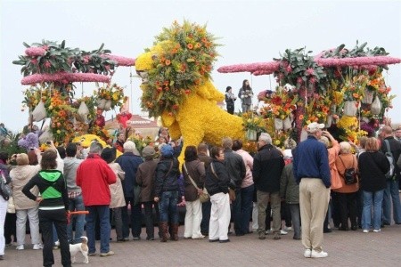 Jarní květinové korzo I - 23