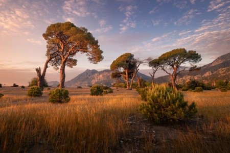 Turistika s vůní borovic - Lýkijská stezka, odlet z Vídně - 2