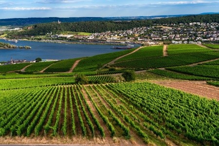 Za vínem a krásami Porýní - 2