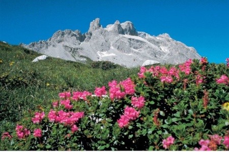 Za krásami Tyrolska a Vorarlberska s návštěvou Švýcarska - 7