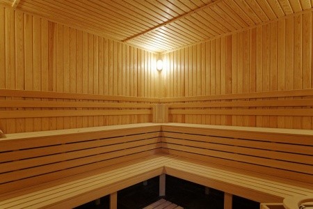 Bulharsko Bansko Trinity Residence 8 dňový pobyt Polpenzia Letecky Letisko: Praha January 2026 (11/01/26-18/01/26)