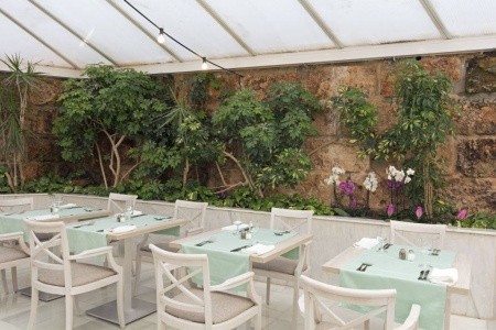 Ona Palmira Paguera (Ex. Hsm Madrigal) - 7