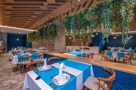 Kirman Calyptus - 10