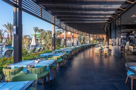 Kirman Calyptus - 11