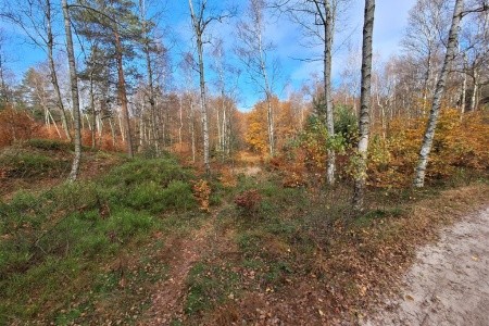 Penzion U Koupaliště (Tisá) - 23