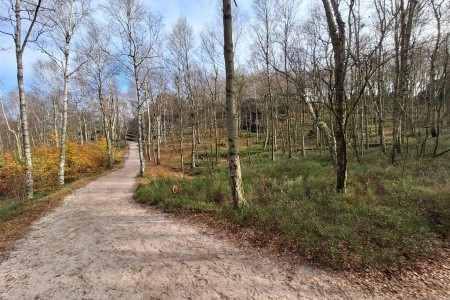 Penzion U Koupaliště (Tisá) - 24