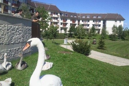 Greenfield Hotel Golf & Spa - 51