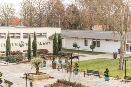 Mosonmagyaróvár - 49