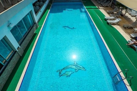 Catty Cats Garden - 9