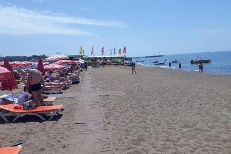 Catty Cats Garden - 10