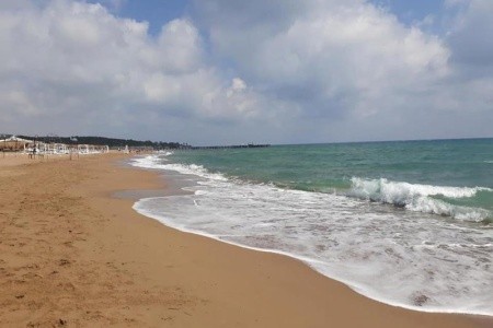 Catty Cats Garden - 11