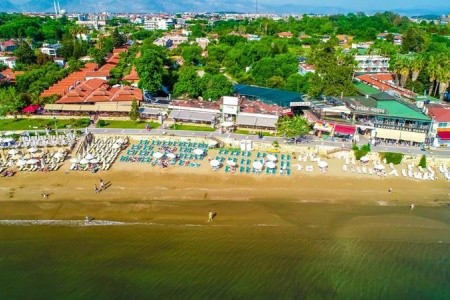 Catty Cats Garden - 12