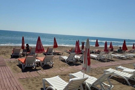 Catty Cats Garden - 13