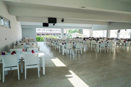 Catty Cats Garden - 17