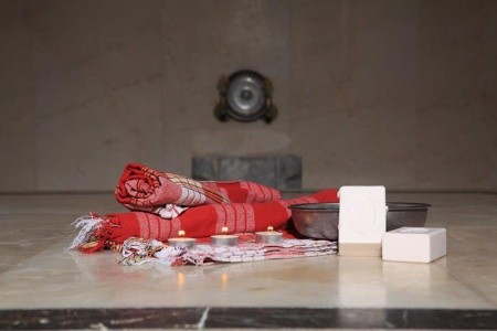 Catty Cats Garden - 20