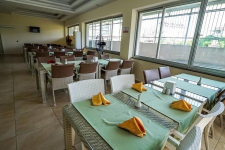 Catty Cats Garden - 25