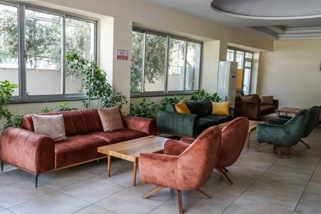 Catty Cats Garden - 31