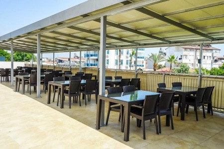 Catty Cats Garden - 33