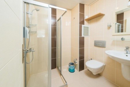 Catty Cats Garden - 44