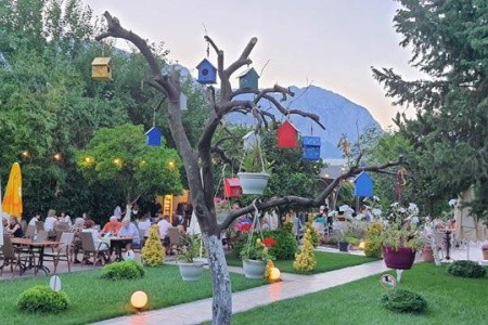 Dg Hotels Rose Resort - 16