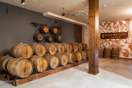 Festa Via Pontica - 144