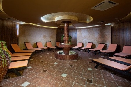 Festa Via Pontica - 163