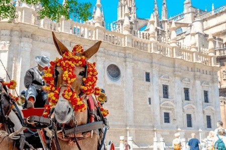 Barvy Andalusie - 15