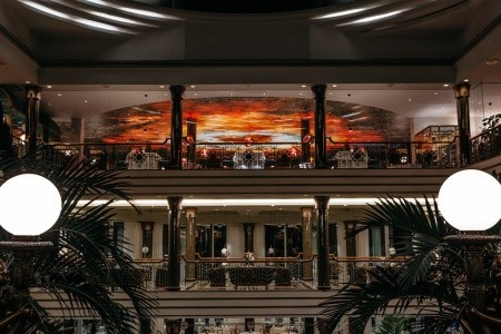 Jardines De Nivaria - 8