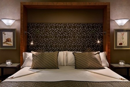 Jardines De Nivaria - 16