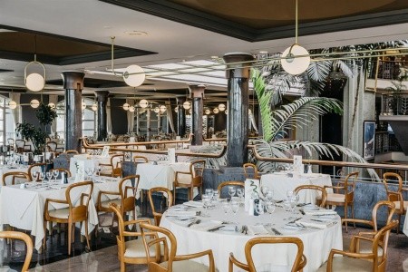 Jardines De Nivaria - 22