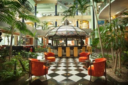 Jardines De Nivaria - 26