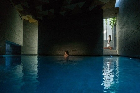 Jardines De Nivaria - 28