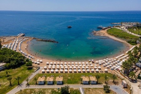 Lonicera Premium - 7